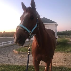 Meet your Posher, Caroline